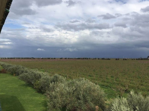 Ferme de 276H région de Meknés (5) - Terrain