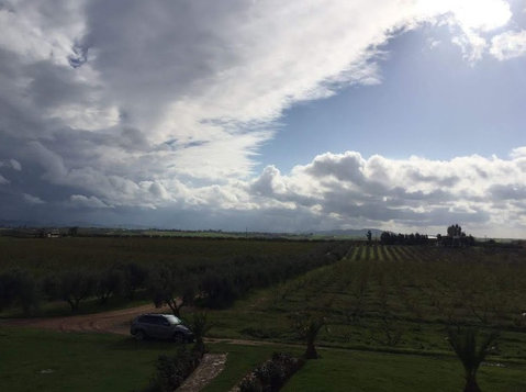 Ferme de 276H région de Meknés (7) - Terrain