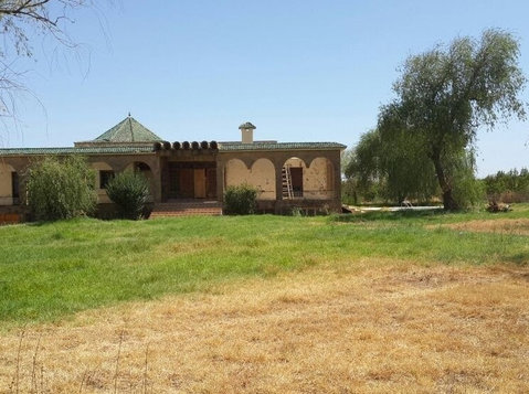 Ferme de 276H région de Meknés (8) - Terrain