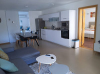 Nice Furnished Apartment With Lift At 150m From Beach - Asunnot