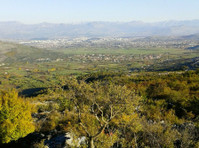 A 17,200 m² plot of land is for sale near Podgorica, Beri - Zemlja