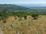 A 17,200 m² plot of land is for sale near Podgorica, Beri - Zemlja