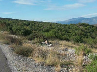 A 17,200 m² plot of land is for sale near Podgorica, Beri - Zemlja