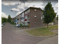 De Houtmanstraat, Arnhem - WGs/Zimmer