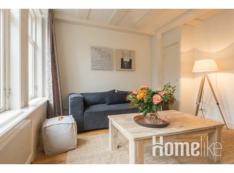 Charming apartment on Haarlemmerdijk - דירות