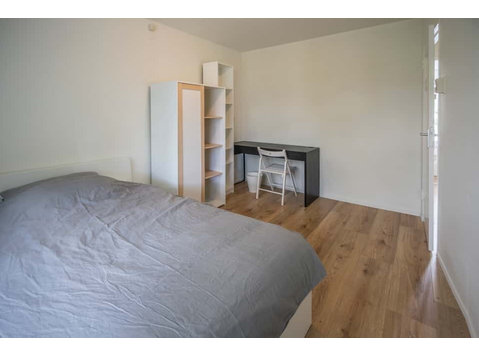 Tobias M.C. Asserstraat - Wohnungen