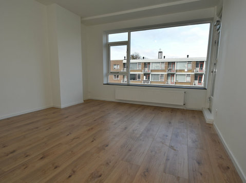 Student Room for Rent in Central Rotterdam - Korterid