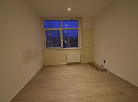 Room for Rent for International Students in Rotterdam - Appartementen