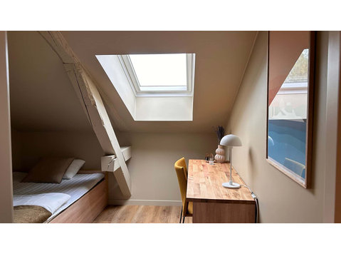 Edvard 51 Room 2 Standard - Asunnot