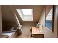 Edvard 51 Room 2 Standard - Appartements