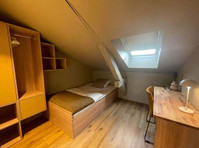 Edvard 51 Room 2 Standard - Appartements