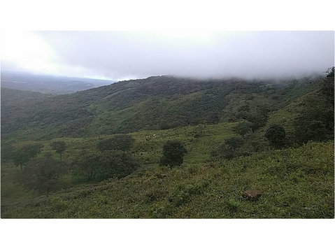 Pasture With Your Own Waterfall in rural Boquete - 12.14 HA - Zeme