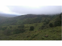 Pasture With Your Own Waterfall in rural Boquete - 12.14 HA - Land