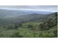 Pasture With Your Own Waterfall in rural Boquete - 12.14 HA - Terreni