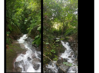 Pasture With Your Own Waterfall in rural Boquete - 12.14 HA - 土地