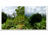 Titled Land For Sale in Hornito, Gualaca 1 Hectare + 617 M2 - 地产