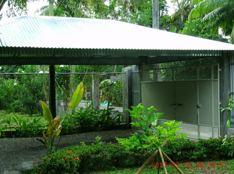 500 Sqm Lot San Enrique Negros Occidental Philippines -  	家