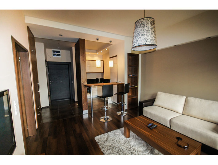 Apartment City Park balcony fully furnished 3300zl Poznan - Appartamenti