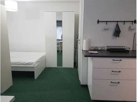 Studio apartment, Stare miasto, Poznan - Apartments