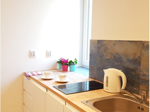 Bright 3 rooms Apartment in Old Town of Lodz - Apartments