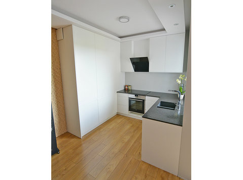 Flat for rent in Lodz:  2 rooms apartment High Standard - Wohnungen