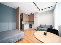 New studio apartment LOFT Kopernika 15 street - Appartementen