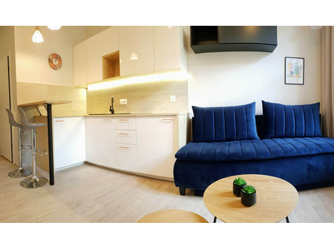 Pretty, new studio apartment in center of Lodz - Leiligheter