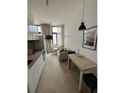 Studio apartment in the heart of Lodz - Asunnot