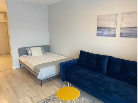 Studio apartment with bed and sofa 33m2 - Leiligheter