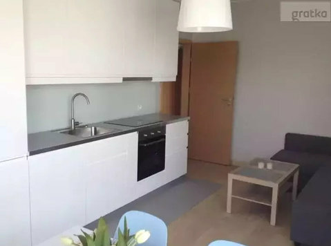 Center,Grunwald.3 Bedrooms,str Wojskowa,near City Park,3個房間 - Appartamenti