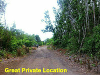 Azores Land For Sale for Only 22.5K - Tanah