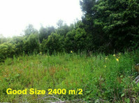 Azores Land For Sale for Only 22.5K - மனை