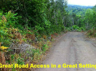 Azores Land For Sale for Only 22.5K - Đất đai