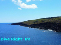 Sea Front Property in the Azores Islands - Zemlja