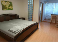 Studio Drumul Taberei Steaua Stadium Bd. Ghencea