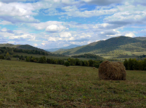 land plot in Russia mountains - Land