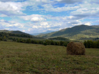 land plot in Russia mountains - Maata