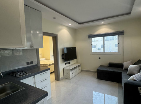 Furnished New Studio/ 1-bedroom Apartment Part of a complex - Pisos