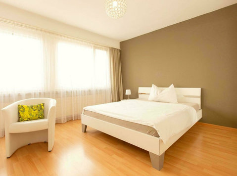 Möblierte 1.5 Zimmer Wohnung mit Service - Basel Novartis - Kalustetut asunnot
