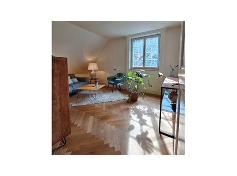 3½ ROOM APARTMENT IN ZÜRICH - KREIS 2 ENGE, FURNISHED,… - Ενοικιαζόμενα δωμάτια με παροχή υπηρεσιών