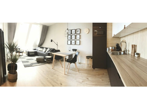 Brand New Cozy bright roof apartment - Zu Vermieten