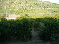 Finca in Tolox