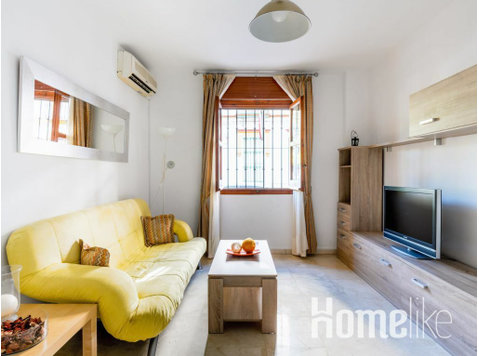 Spacious apartment in Triana, Seville - Asunnot