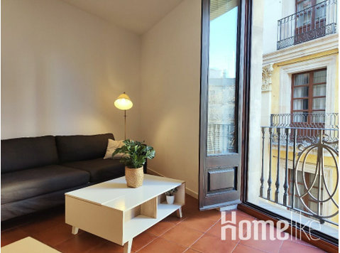 Spacious 2 BR Apt, fully equiped - Rambla D - Appartements