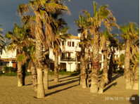 Flatio - all utilities included - PARADISE ON THE BEACH - For Rent