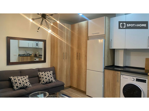 Appartement 1 chambre à louer à Centro, Madrid - Appartements