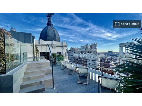 Appartement spacieux et lumineux pour 1 dortoir avec salle… - Appartements