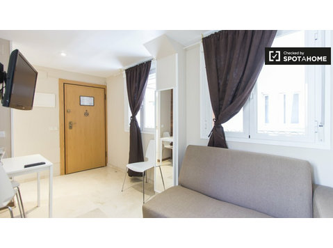 Bright studio apartment for rent in centre of Madrid - Leiligheter
