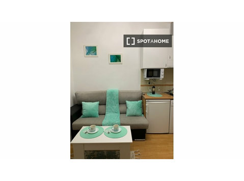 Studio apartment for rent in Embajadores, Madrid - Apartments