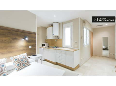 Terrific studio apartment for rent in Centro, Madrid - آپارتمان ها
